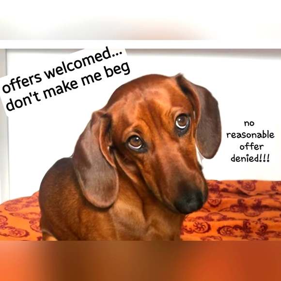 Send in your offers!!! Don't make me beg 🐶 - Picture 1 of 1
